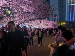 -西北湖绿化广场
