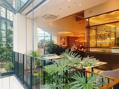 -大树餐厅(红旗街万达店)