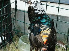 -南京金牛湖风景区