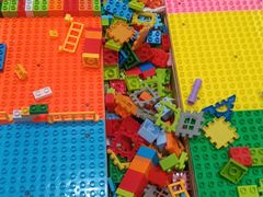 -醉得意·山茶油炒土鸡(莆田仙游方圆荟店)