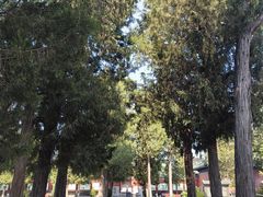 -历代帝王庙博物馆