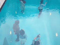 -金泽21世纪美术馆