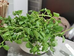 西洋菜-非遗•老字号•阿彬牛肉火锅(广济桥店)
