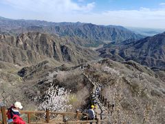 -大岭沟猕猴桃谷风景区