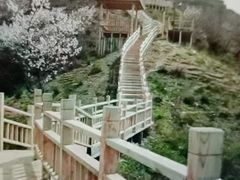 -中华福寿山