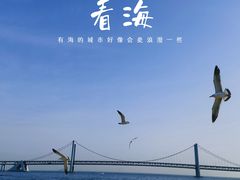 -星海广场