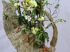 -深圳国际园林花卉博览园
