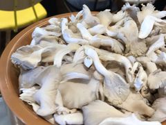 平菇-龍歌自助小火锅(市南金茂湾店)