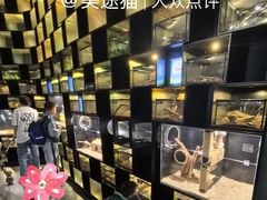 -太平洋海底世界