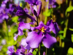 -停车场(临桂路)