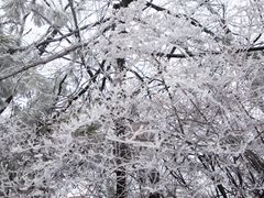 -太平万花山景区