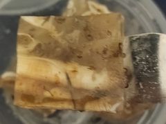 -铭聚章鱼土笋冻(松柏店)