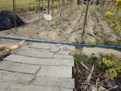 -新塘水果乐园(东洲大道店)