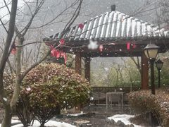 -麦积山温泉