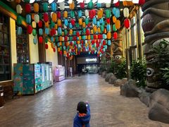 -杭州开元森泊度假乐园