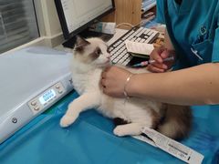-美迦爱-牙专科·兔科·骨科诊疗中心(北苑店)