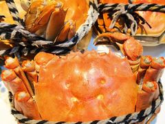 -红辣椒·川菜·火锅(大洋中心店)