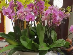 -古韵轩·江浙融合菜(梁溪店)