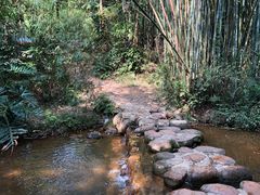 -广州市白云山风景名胜区
