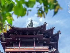 -杭州半山国家森林公园