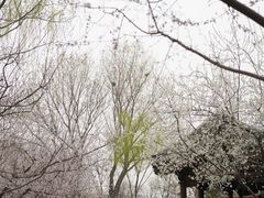 -春风习习
