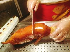 -阿五黄河大鲤鱼(海尚店)