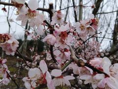 -白塘生态植物园