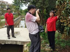 -从化深英荔枝黄皮龙眼采摘园
