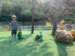 -金龙寺国家森林公园