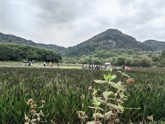 -八卦田遗址公园