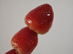 -小宝栗子(西安道店)