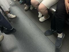 -长洲岛