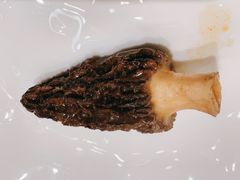 -ONE FULL 古董港式海鲜火锅