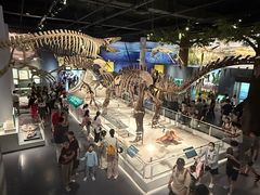 -国家自然博物馆