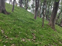 -马王堆汉墓遗址