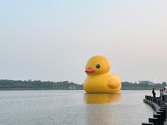 -深圳人才公园