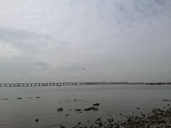 -宝安西湾红树林湿地公园