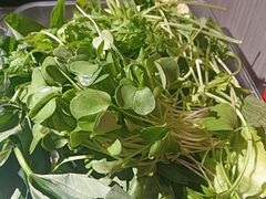 -雷山鱼酱酸汤鱼·酸汤牛肉(花果园T1区店)