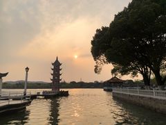 -君来湖滨饭店·玫瑰园