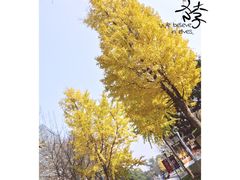 -奈雪的茶(新天地广场PRO店)