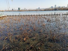 -济南大明湖景区