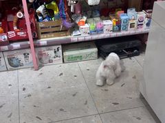 -FAELING PETS美天灵宠物(合生汇店)
