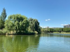 -中关村生命科学园