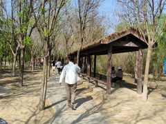 -西青郊野公园
