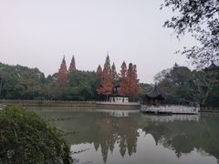 -汇龙潭