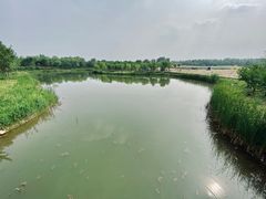 -东郊湿地公园