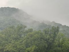-西湖风景区十里琅珰-五云山