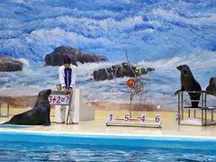 -福州罗源湾海洋世界旅游区