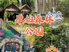 -西双版纳原始森林公园
