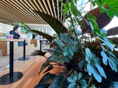 -Seesaw Coffee(朝阳大悦城店)